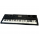 Teclado Cassio WK-6600