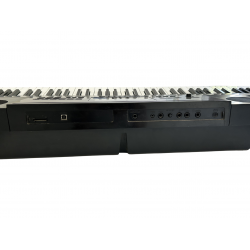 Teclado Cassio WK-6600