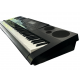 Teclado Cassio WK-6600