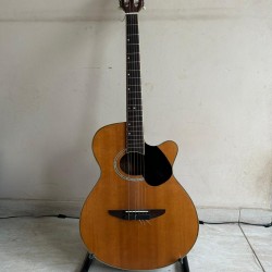 Tagima Vegas Tagima Vegas