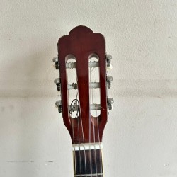 Tagima Vegas Tagima Vegas