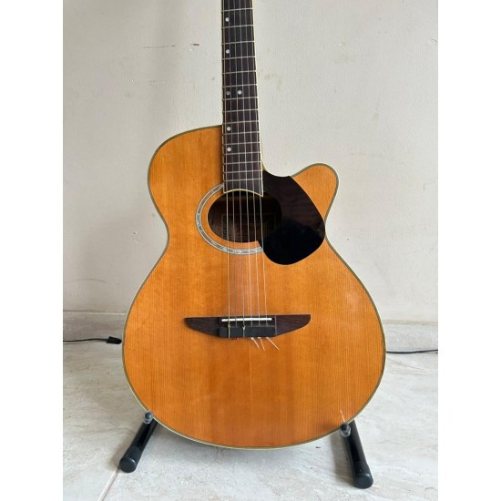 Tagima Vegas Tagima Vegas