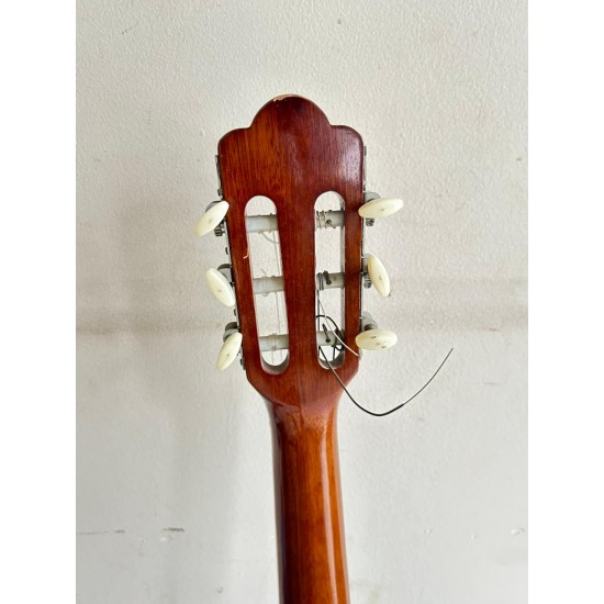 Tagima Vegas Tagima Vegas