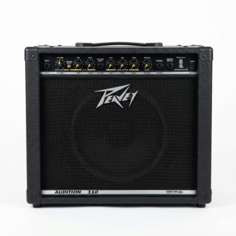 Amp Peavey audition 110